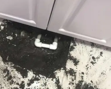 阿勒泰查漏水哪家好
